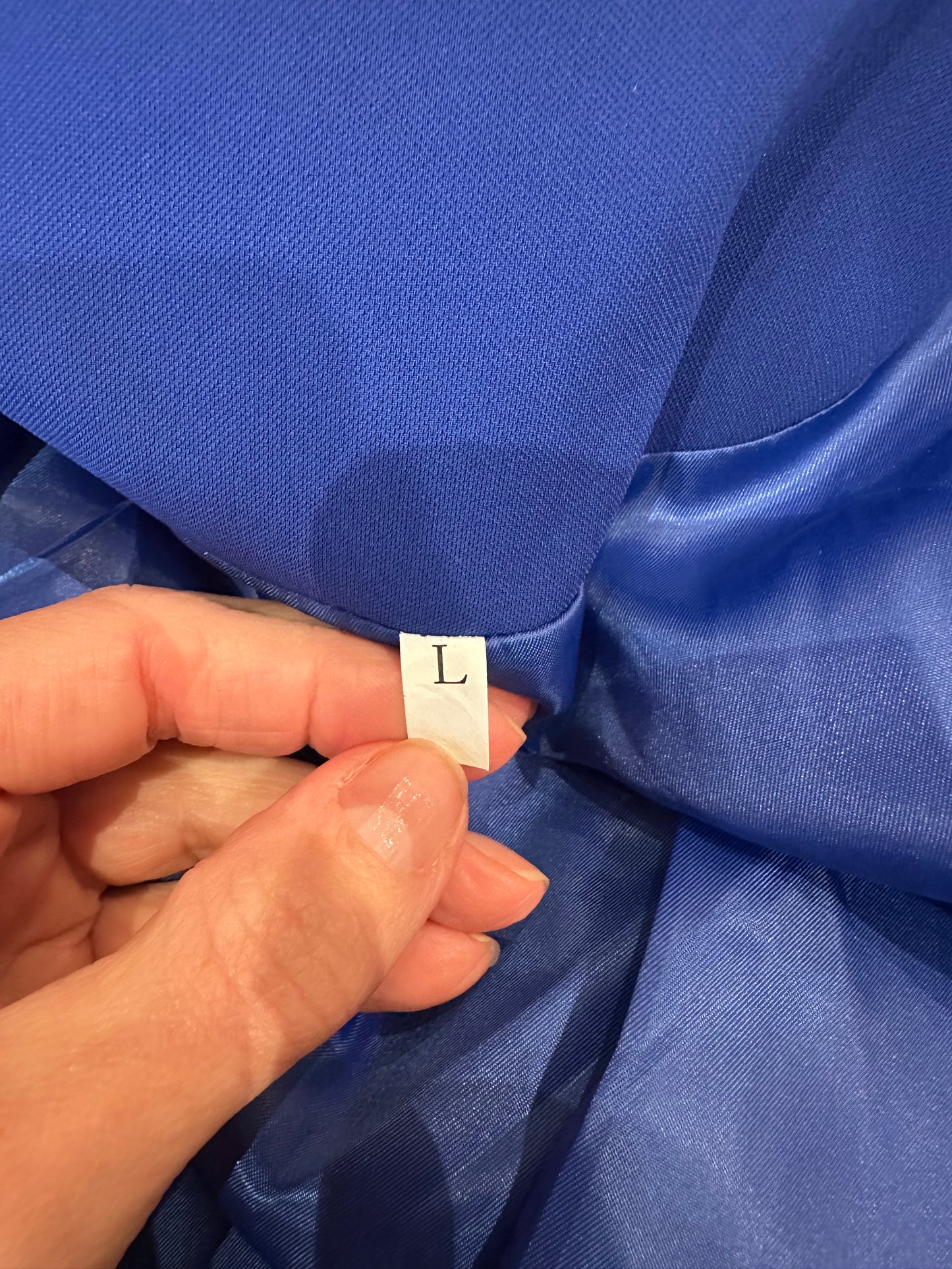 Blue Blazer